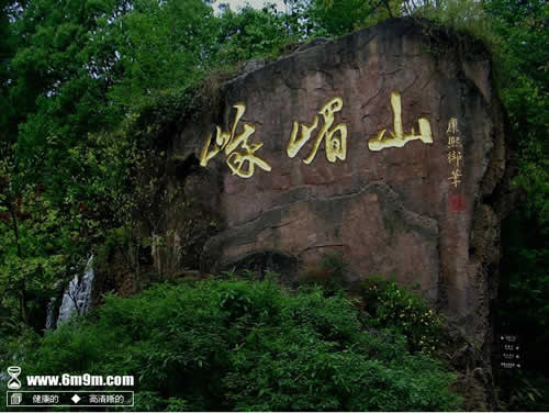 Chengdu-Leshan- Mt.Emei 2 Days Tour