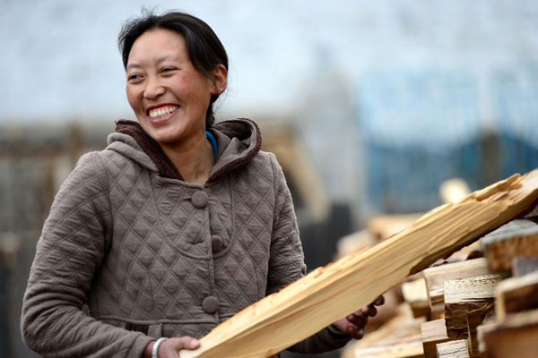Lhamo is carrying firewood for the family inn. [Photo/Xinhua] 